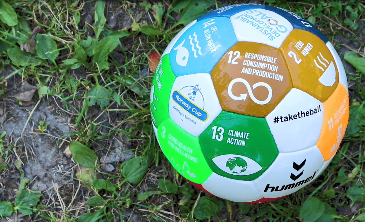 Bærekraftsballen